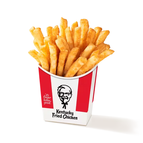 Secret Recipe Fries