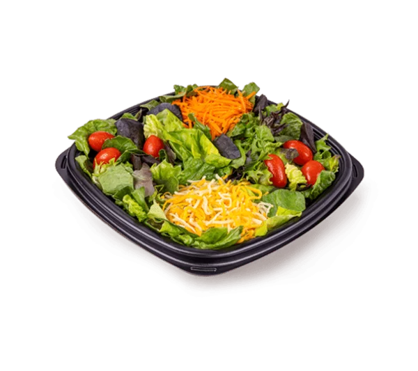 Garden Salad with Grilled Chicken